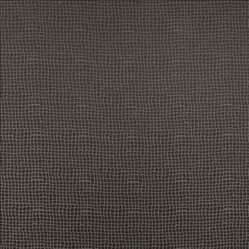 Kasmir Fabrics Petite Dundee Grey Fabric 